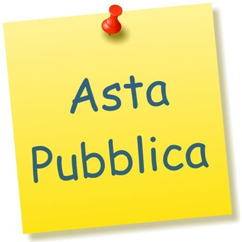 asta pubblica